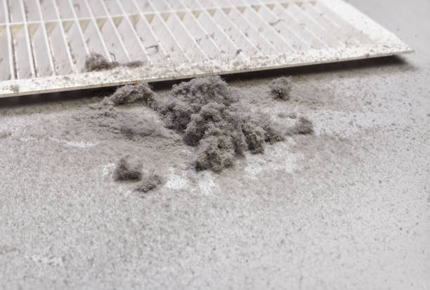 Best Affordable Duct Cleaning Services  in Whiteriver, AZ