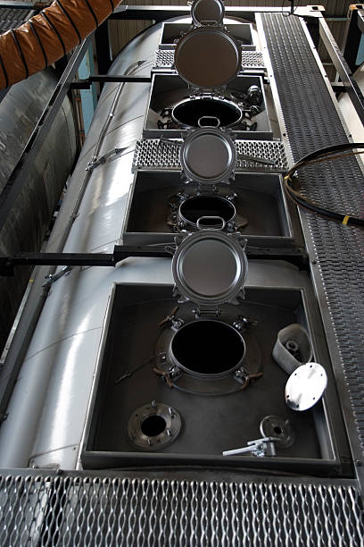 Best Air Duct Mold Removal  in Whiteriver, AZ